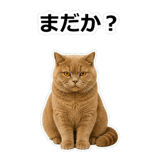 854651357