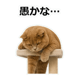854651358