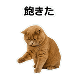 854651360