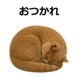 854651371