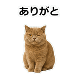 854651374
