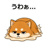 854652055