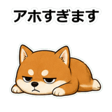 854652058