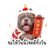 854652334