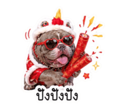 854652338