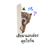 854652350