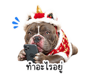 854652351