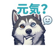 854654306