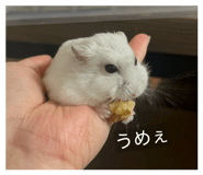 854654446
