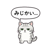 854654742