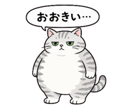 854654743