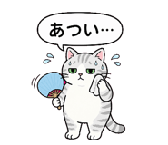 854654753