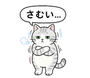854654754