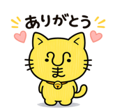 854655071