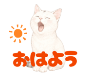 854655185