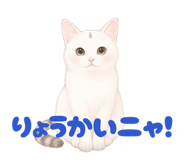 854655187