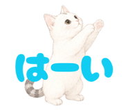 854655190