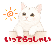 854655194