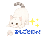 854655198