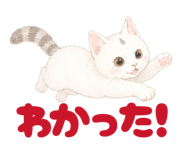 854655202