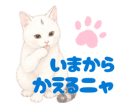 854655205