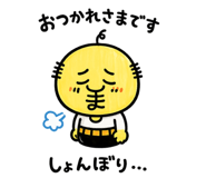 854655911