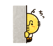 854655914