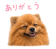 854656179