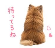 854656188