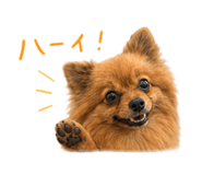 854656192