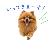 854656199