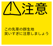 854656899