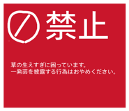 854656901