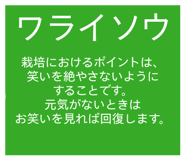 854656905