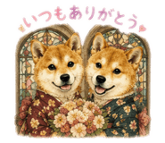 854657544