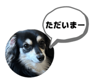 854659361