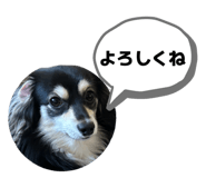 854659385