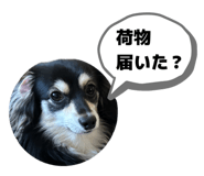 854659398