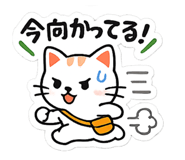 854661192