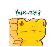 854662065