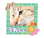 854662134