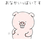 854662148