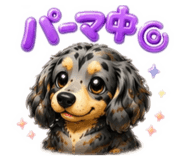 854662167