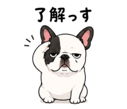 854662204