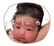 854662557