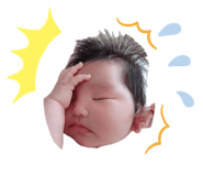 854662585