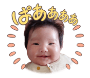 854662590