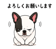 854663628