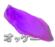 854664601