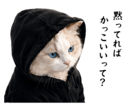 854665141